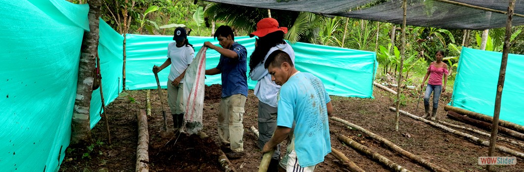 Forestation Project in San Martn de Amacayacu - 2015.